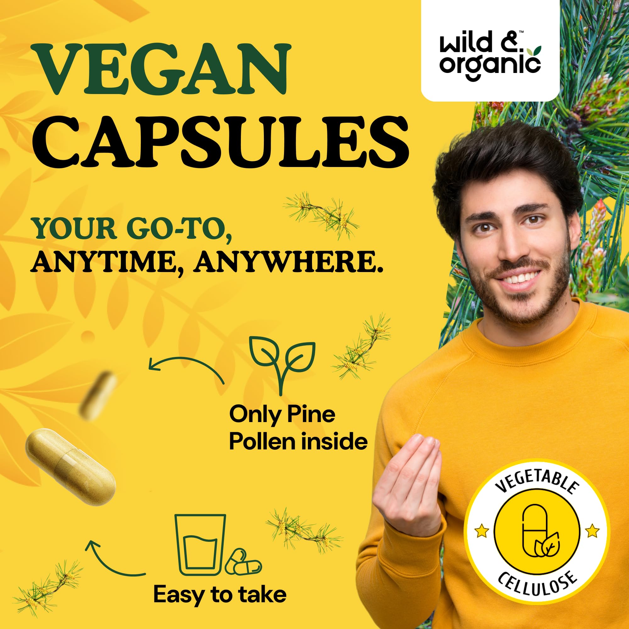 Wild & Organic Pine Pollen for Men – 1000 mg Capsules, Vegan & Non-GMO