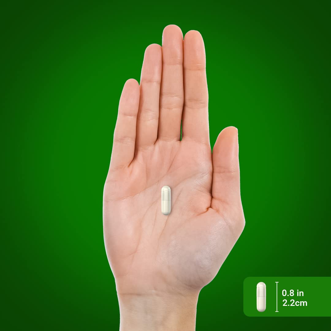 Piping Rock Green Lipped Mussel 750mg | 120 Capsules | NZ Freeze Dried | Non-GMO, Gluten Free (Pack of 2)