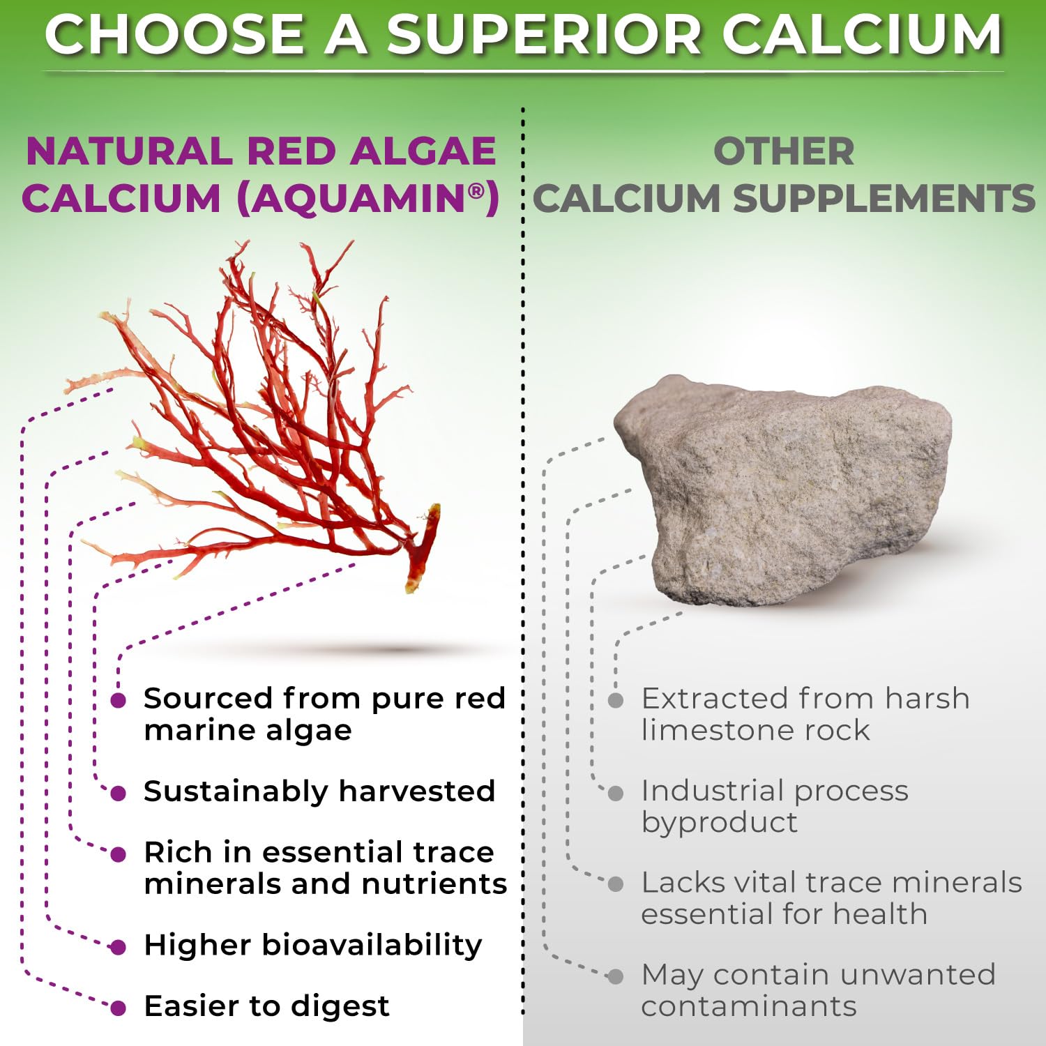 Plant-Based Calcium 600mg (Aquamin) – Vegan Calcium Magnesium Zinc D3, Vitamin K2 & Organic Turmeric – Enhanced Bone & Muscle Health (90 Count)
