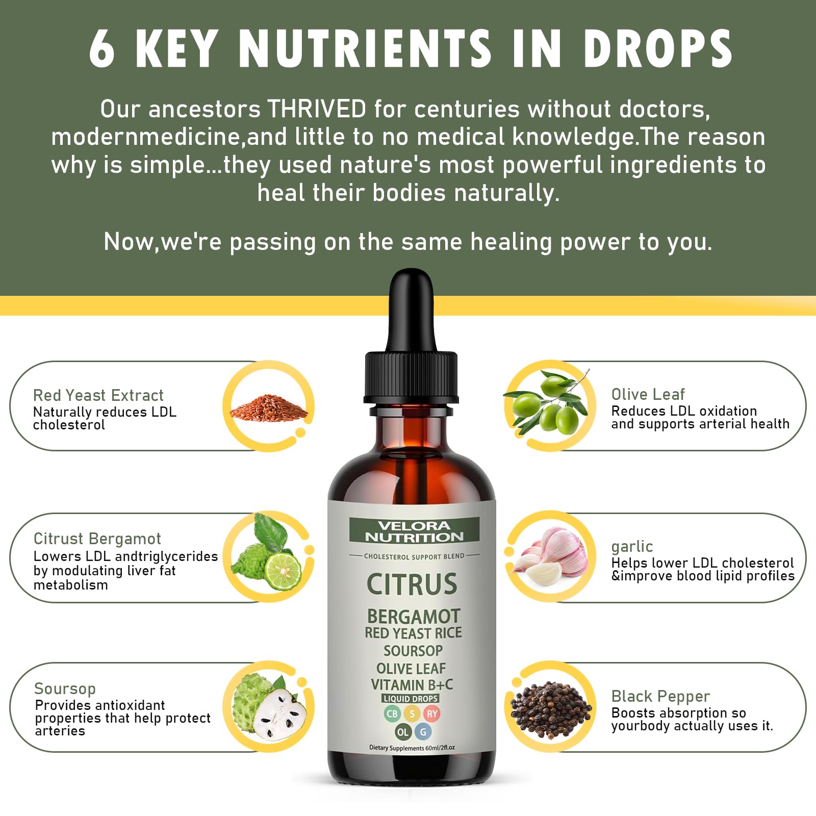 Red Yeast Rice Drops - Cholesterol Support Blend with Citrus Bergamot | 2 fl oz (60 ml)