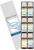 Plant Guru Respiratory Essential Oil Set — 6x 10ml, 100% Pure Therapeutic Grade for Diffuser