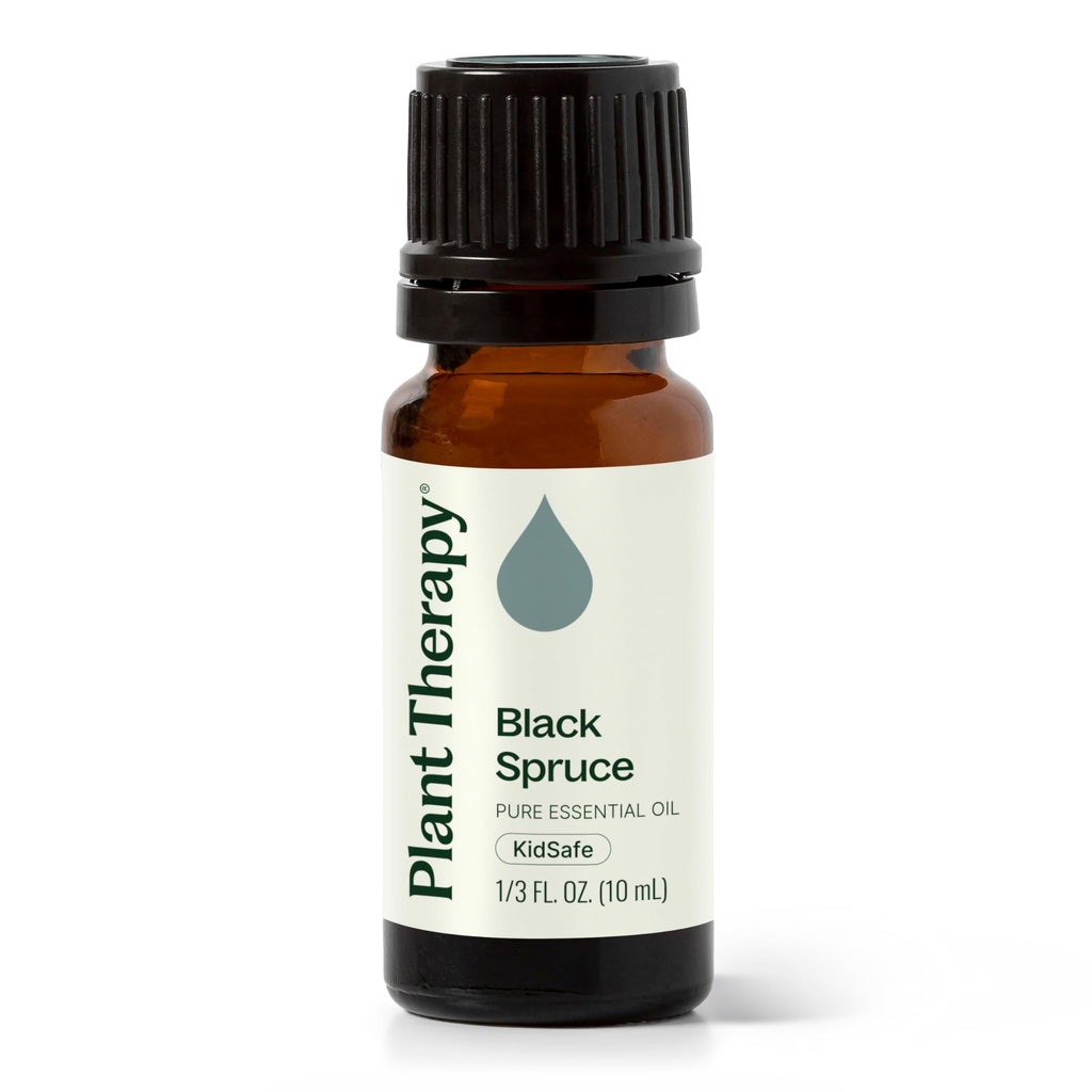 Plant Therapy Black Spruce Essential Oil 10 mL | 100% Pure, Therapeutic Grade
