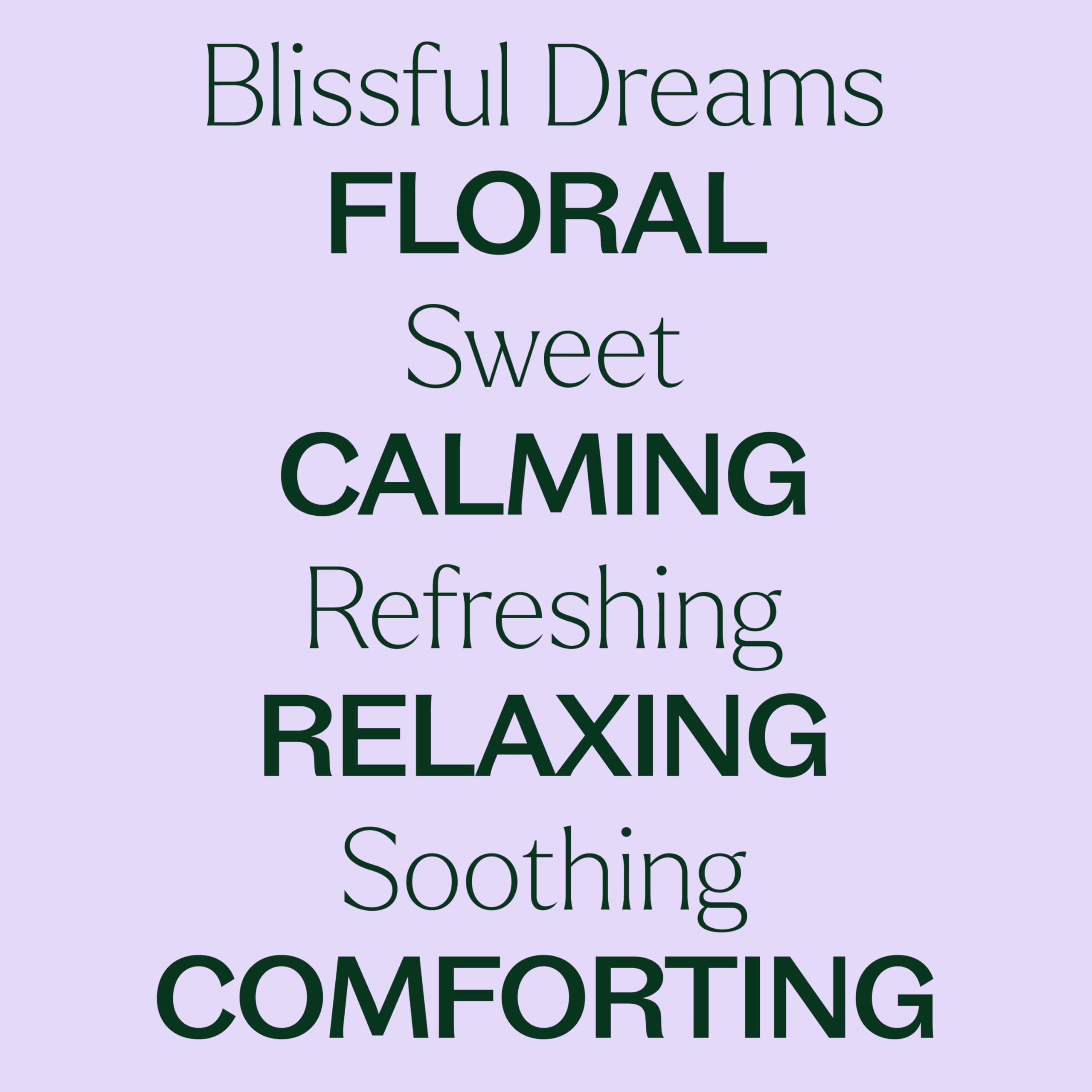 Plant Therapy Blissful Dreams Essential Oil Blend – Relaxation & Rest, 10 mL