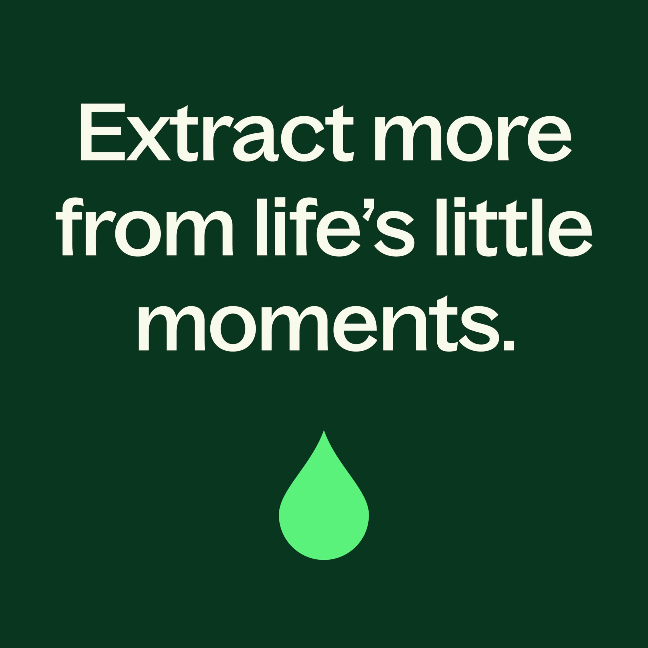 Plant Therapy Blue Tansy Essential Oil 2.5 mL — Pure & Therapeutic Grade