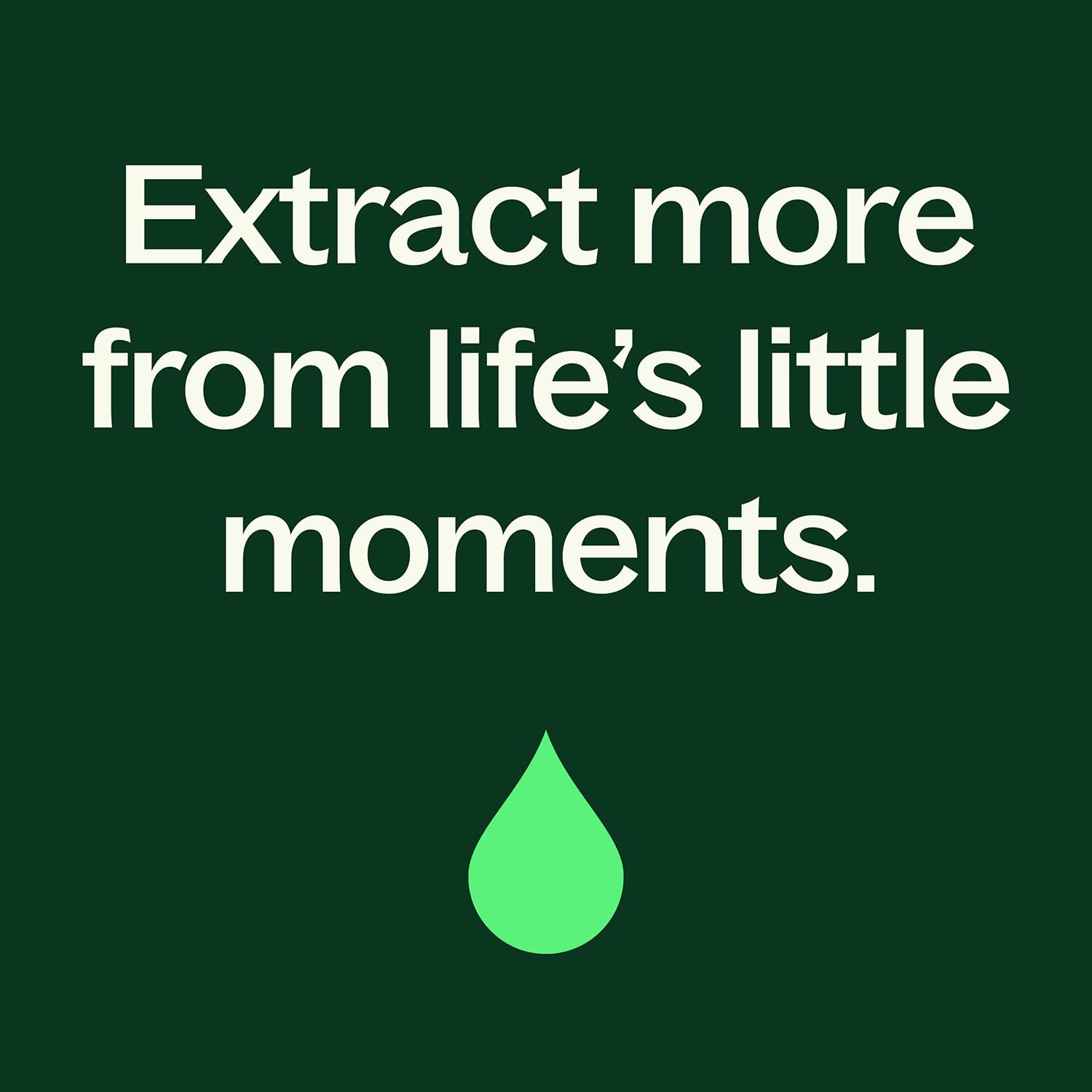 Plant Therapy Clove Bud Organic Essential Oil – 100% Pure, USDA Organic, 10 mL