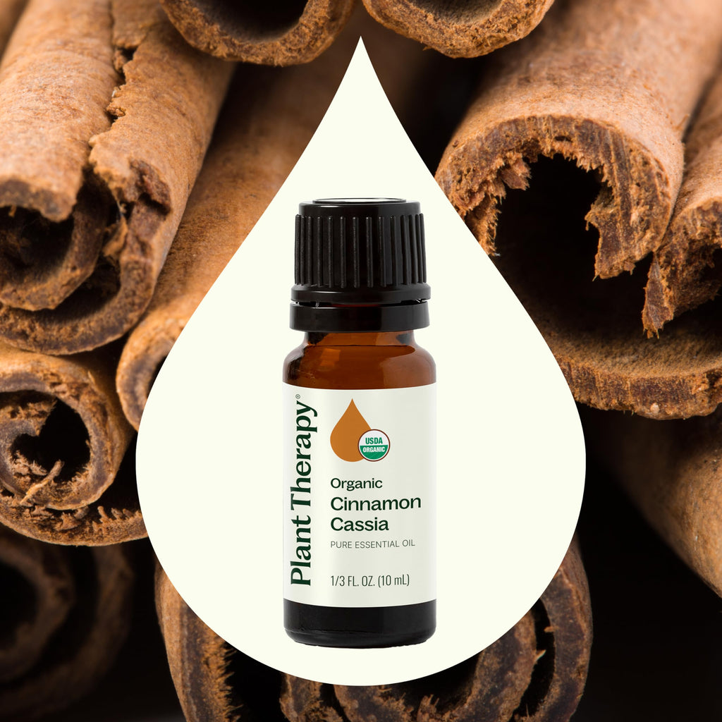 Plant Therapy USDA Organic Cinnamon Cassia Essential Oil 10 mL – 100% Pure, Therapeutic Grade