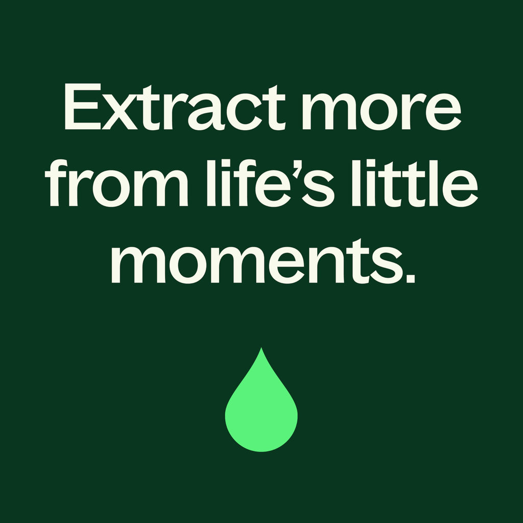Plant Therapy USDA Organic Cinnamon Cassia Essential Oil 10 mL – 100% Pure, Therapeutic Grade