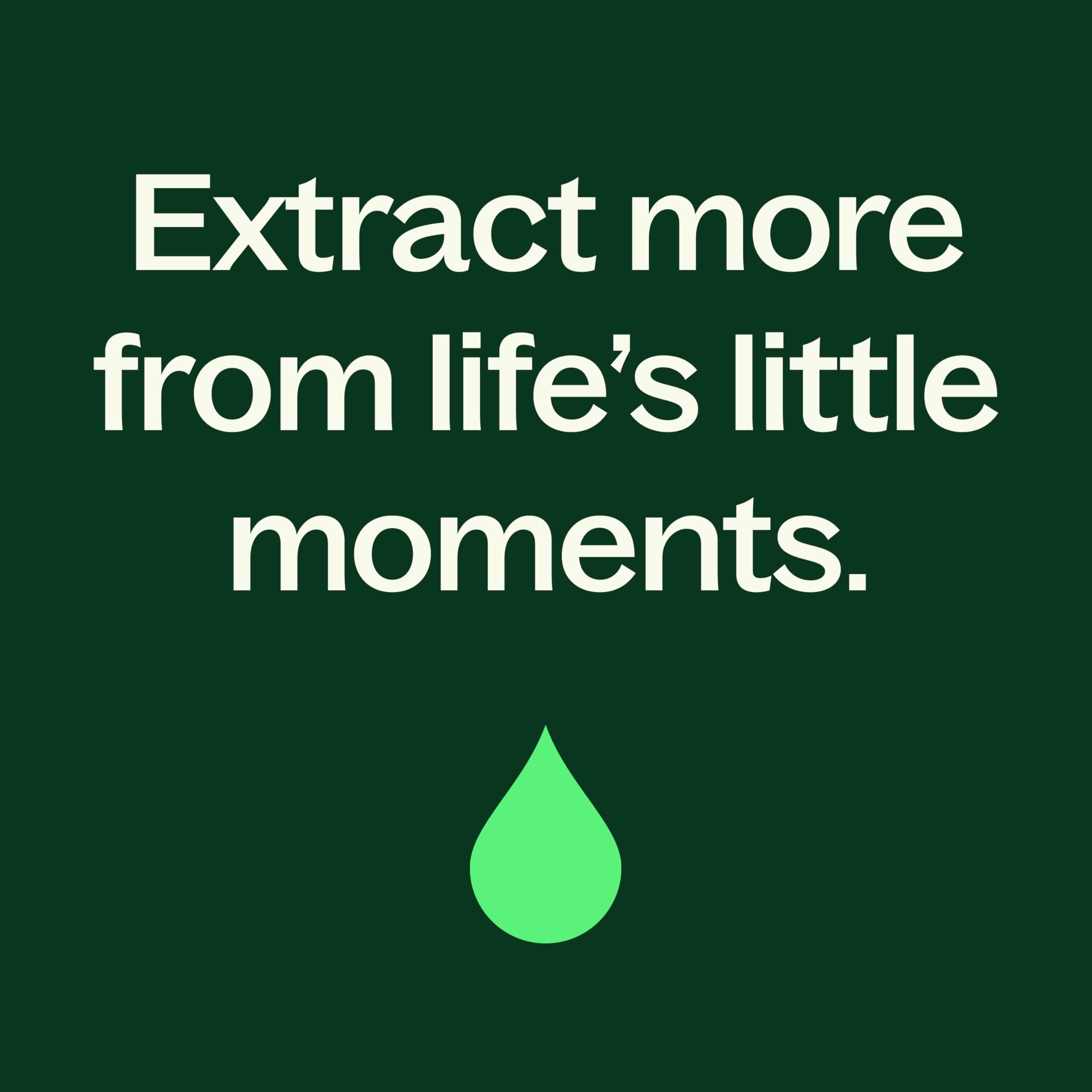 Plant Therapy USDA Organic Cinnamon Cassia Essential Oil 10 mL – 100% Pure, Therapeutic Grade