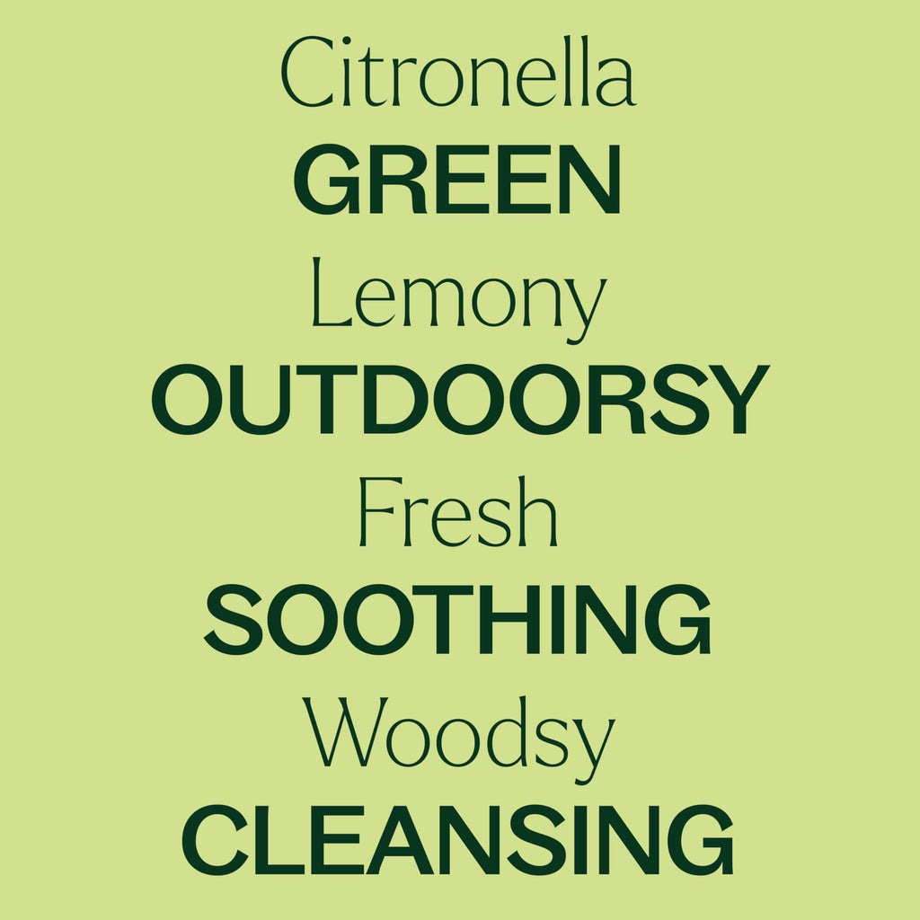 Plant Therapy Citronella Organic Essential Oil – 100% Pure, USDA Certified Organic, Therapeutic Grade, 10 mL (1/3 oz)