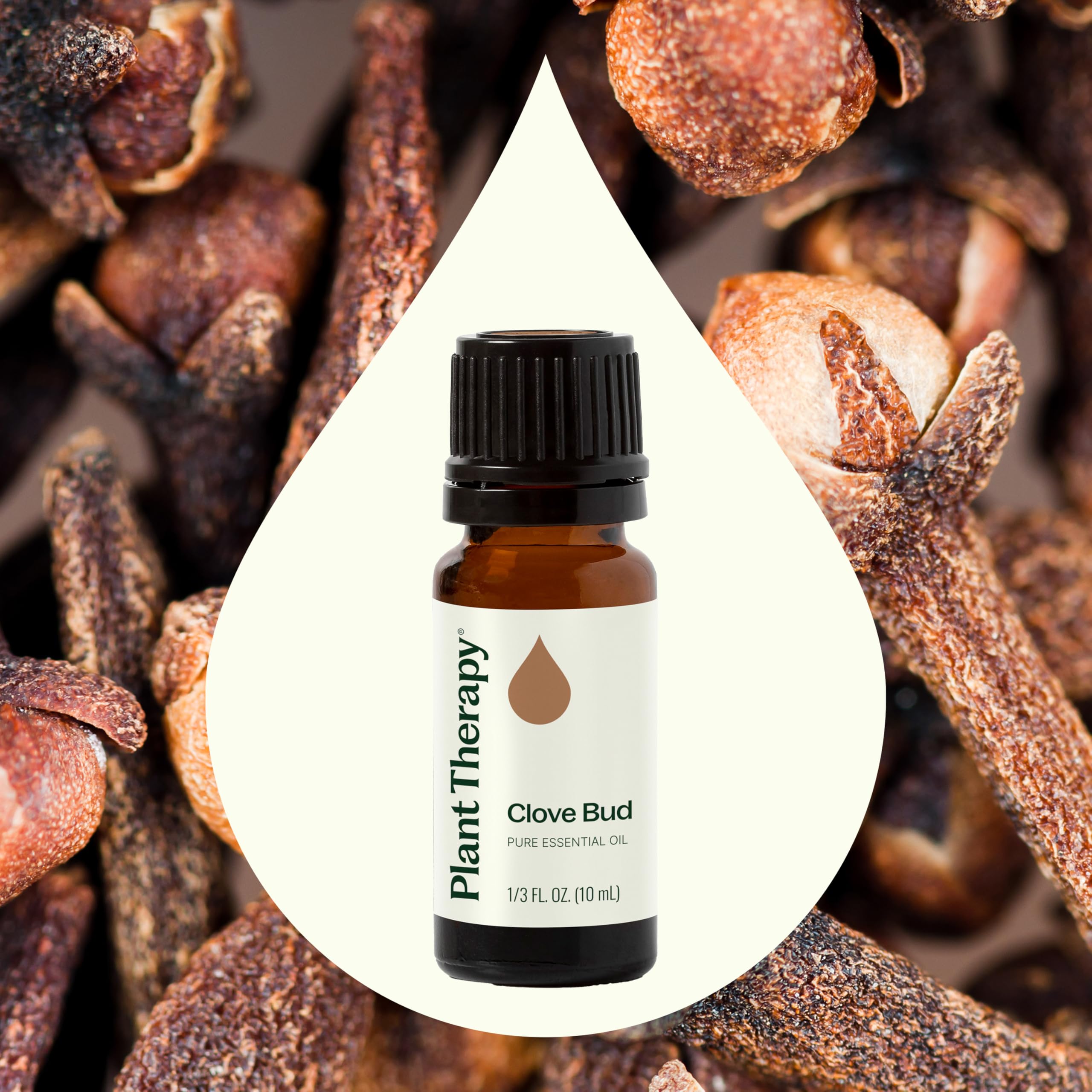 Plant Therapy Clove Bud Essential Oil 100% Pure & Undiluted - Therapeutic Grade, 10 mL