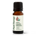 Plant Therapy Copaiba Oleoresin Organic Essential Oil – 100% Pure (10 mL)