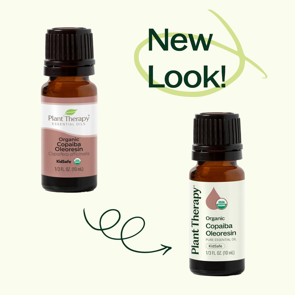Plant Therapy Copaiba Oleoresin Organic Essential Oil – 100% Pure (10 mL)