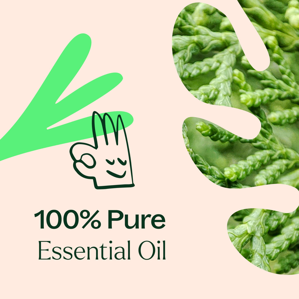 Plant Therapy Deodorizing Essential Oil Blend 30 mL – 100% Pure