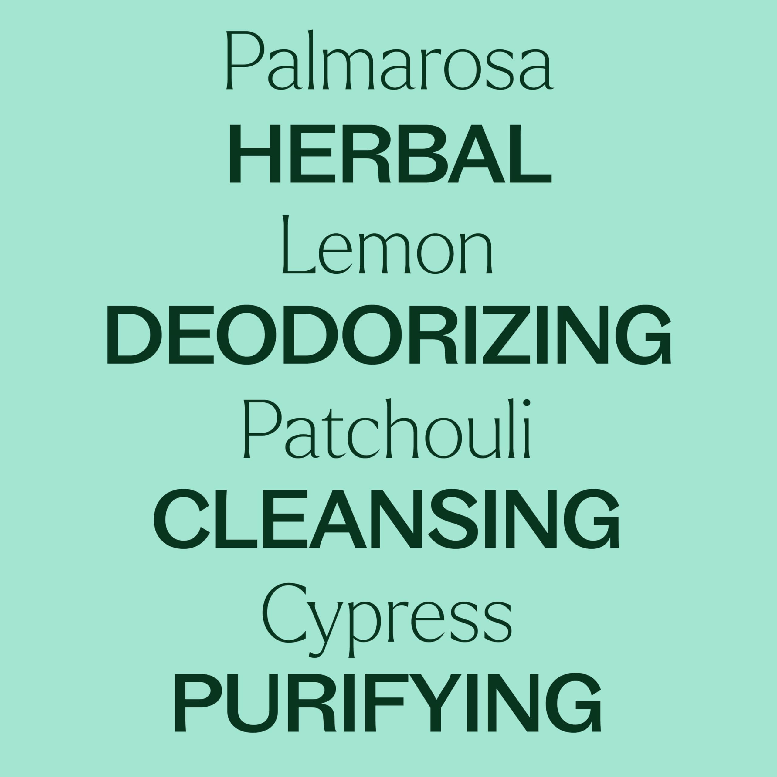 Plant Therapy Deodorizing Essential Oil Blend 30 mL – 100% Pure