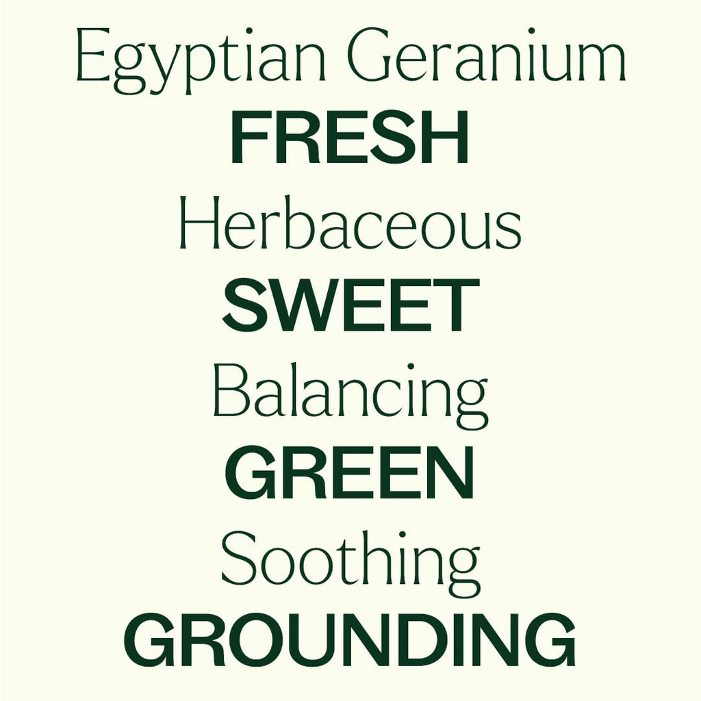 Plant Therapy Organic Egyptian Geranium Essential Oil - 100% Pure, USDA Certified Organic, 5 mL
