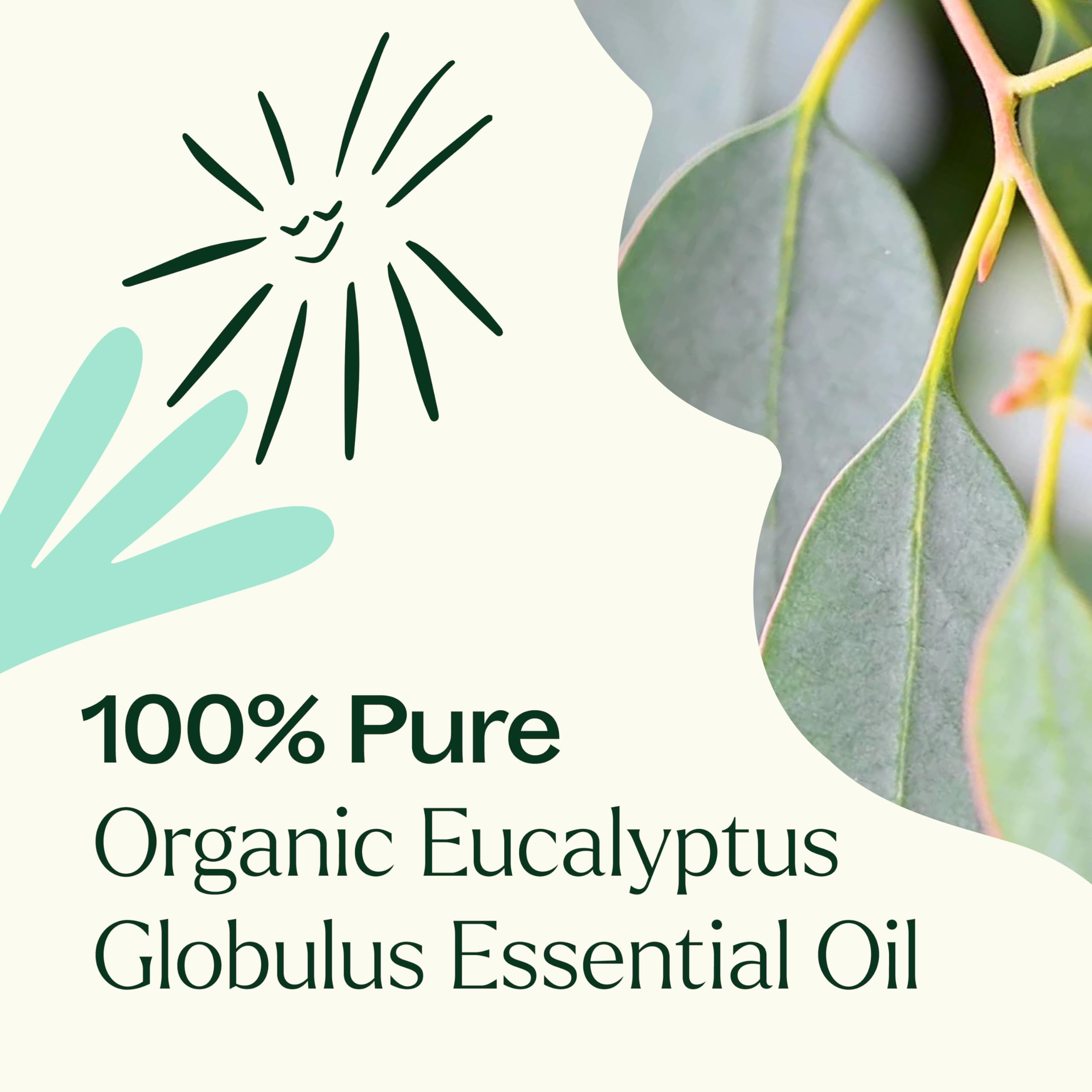 Plant Therapy Organic Eucalyptus Globulus Essential Oil - 10 mL, 100% Pure, USDA Organic