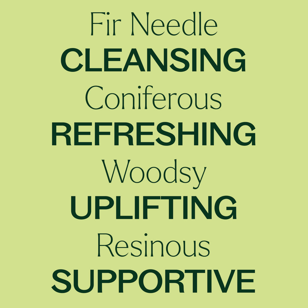 Plant Therapy Fir Needle Essential Oil 30 mL (1 oz) 2-Pack – 100% Pure, Therapeutic Grade