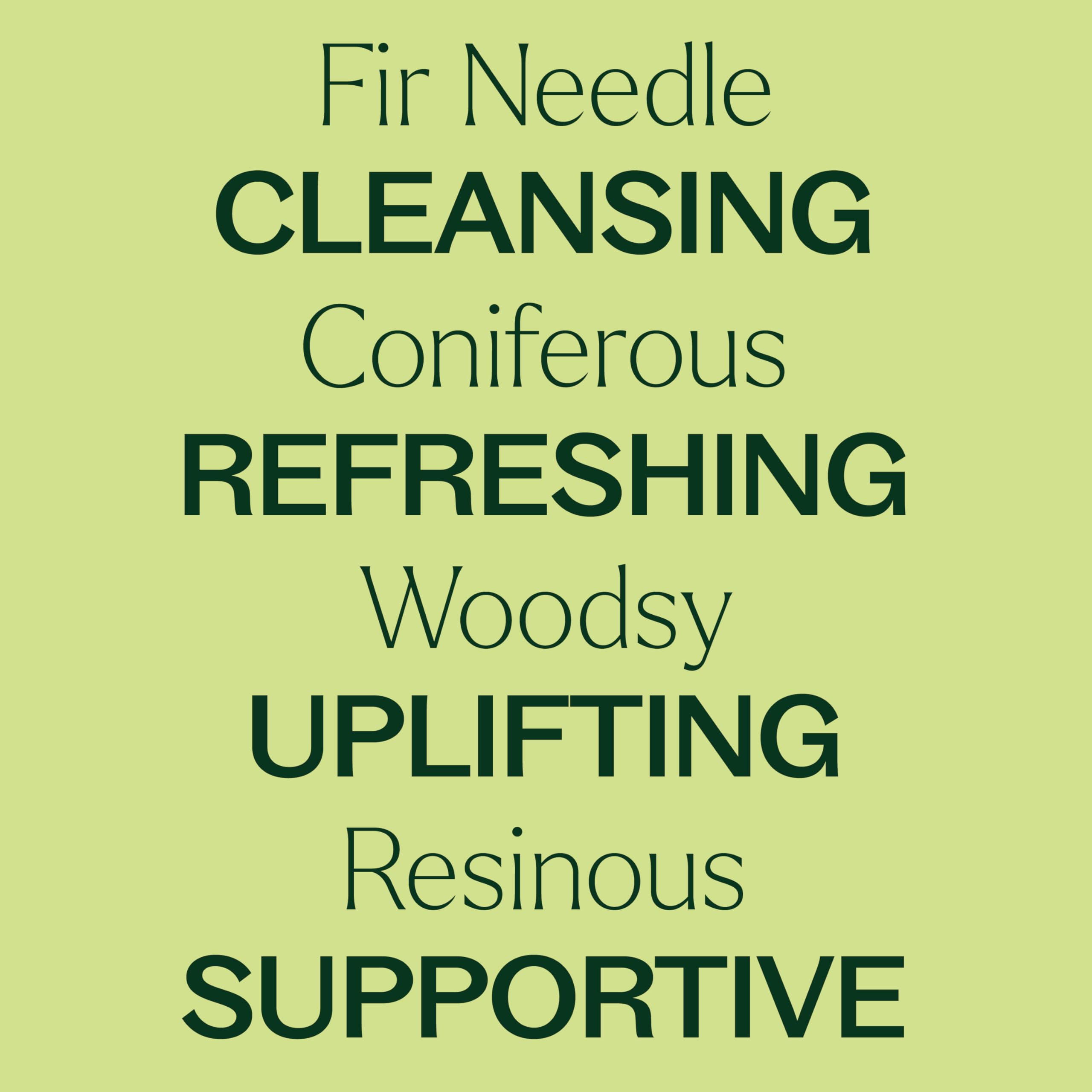 Plant Therapy Fir Needle Essential Oil 30 mL (1 oz) 2-Pack – 100% Pure, Therapeutic Grade
