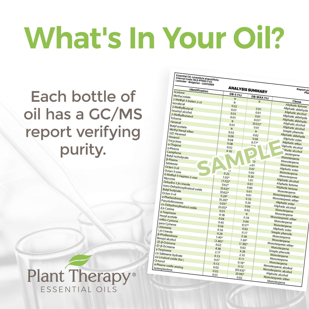 Plant Therapy Ginger Root CO2 Essential Oil – 100% Pure, Therapeutic Grade, 30 mL