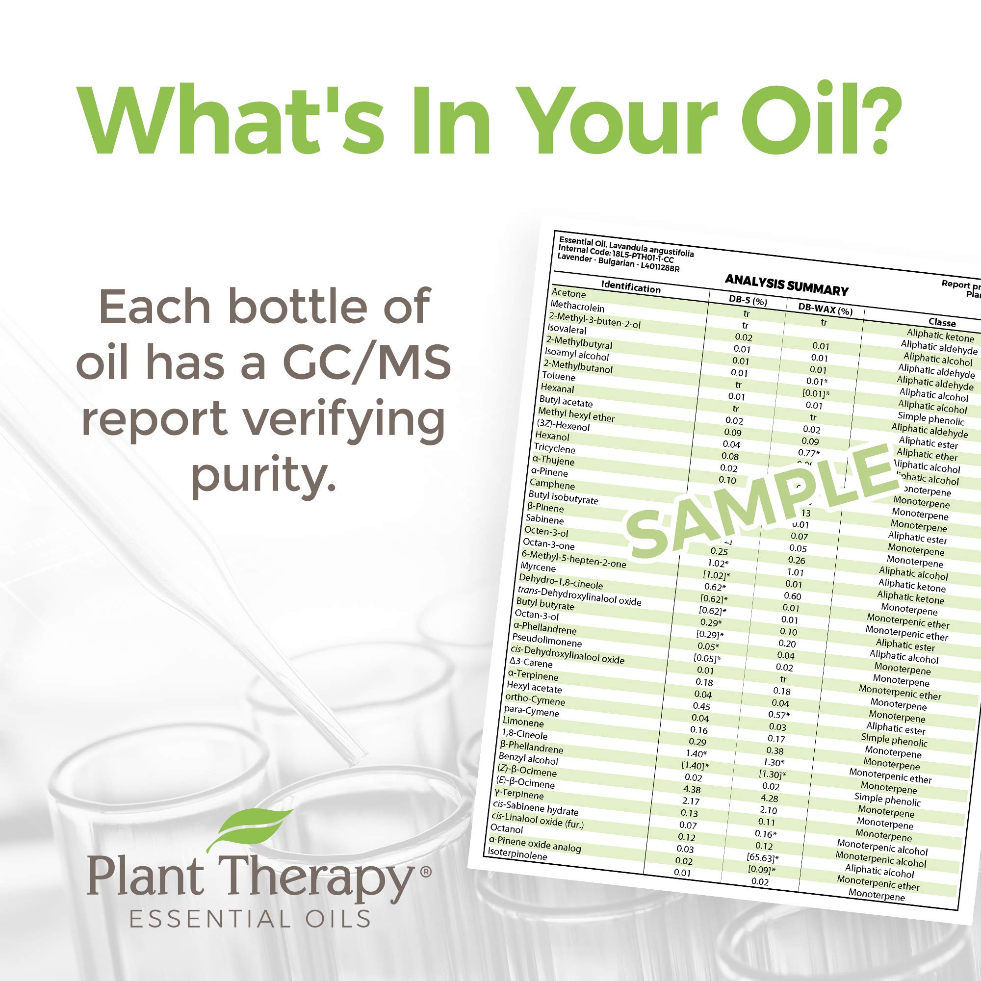 Plant Therapy Ginger Root CO2 Essential Oil – 100% Pure, Therapeutic Grade, 30 mL