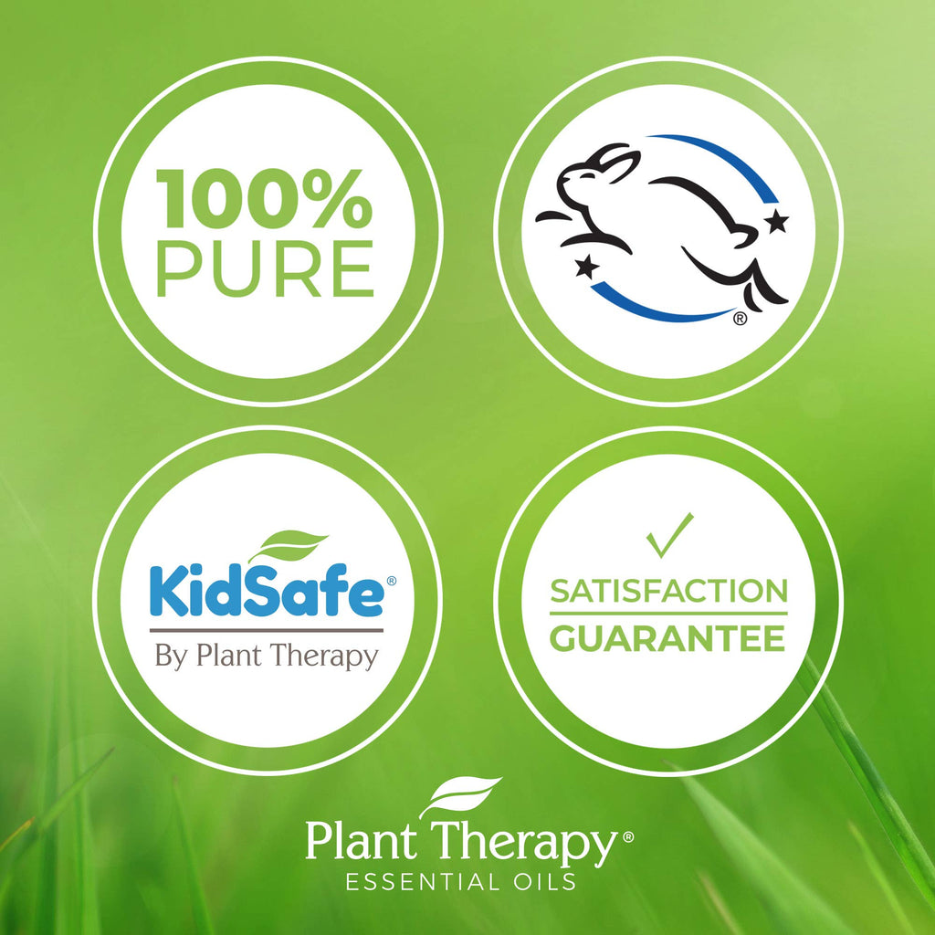 Plant Therapy Ginger Root CO2 Essential Oil – 100% Pure, Therapeutic Grade, 30 mL