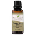Plant Therapy Ginger Root CO2 Essential Oil – 100% Pure, Therapeutic Grade, 30 mL