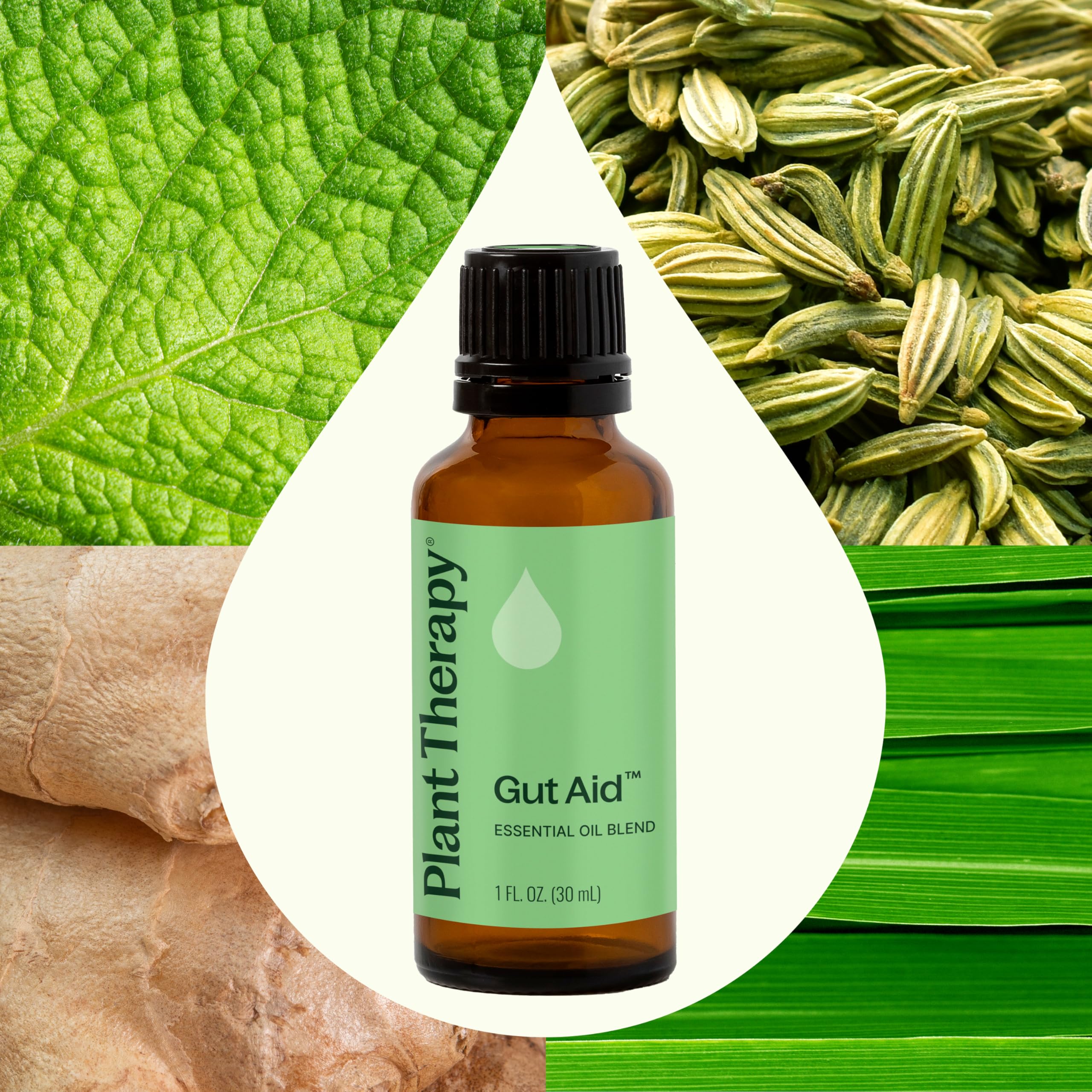 Plant Therapy Gut Aid Essential Oil Blend 30 mL - Digestive Comfort & Aromatherapy