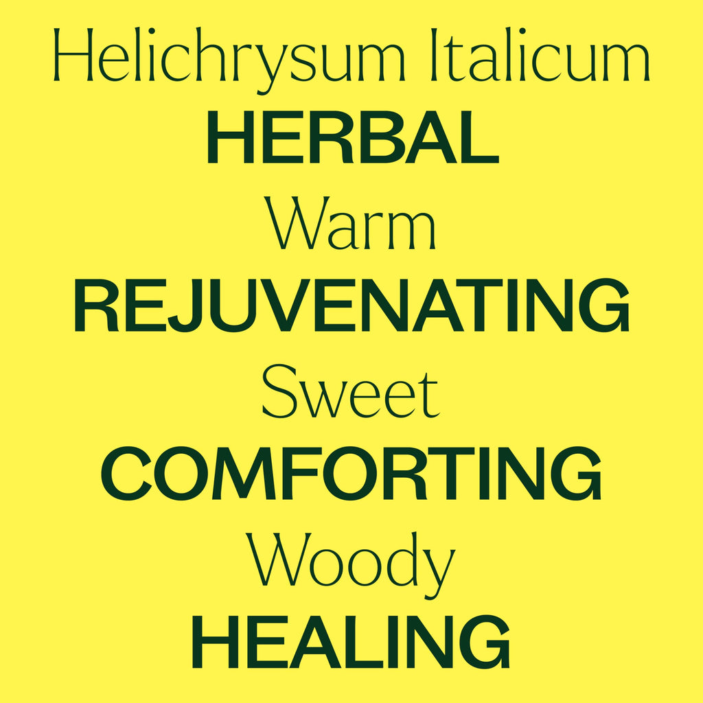 Plant Therapy Organic Helichrysum Italicum Essential Oil – 100% Pure, USDA Organic, 5 mL