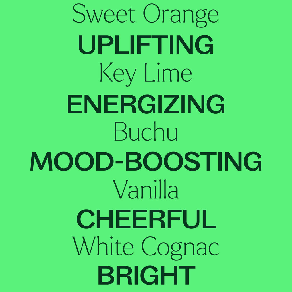 Plant Therapy Tropical Scents Home Set — 3 Essential Oil Blends (Honeybell, Lime in the Coconut, Tropical Passion) 10 mL Each