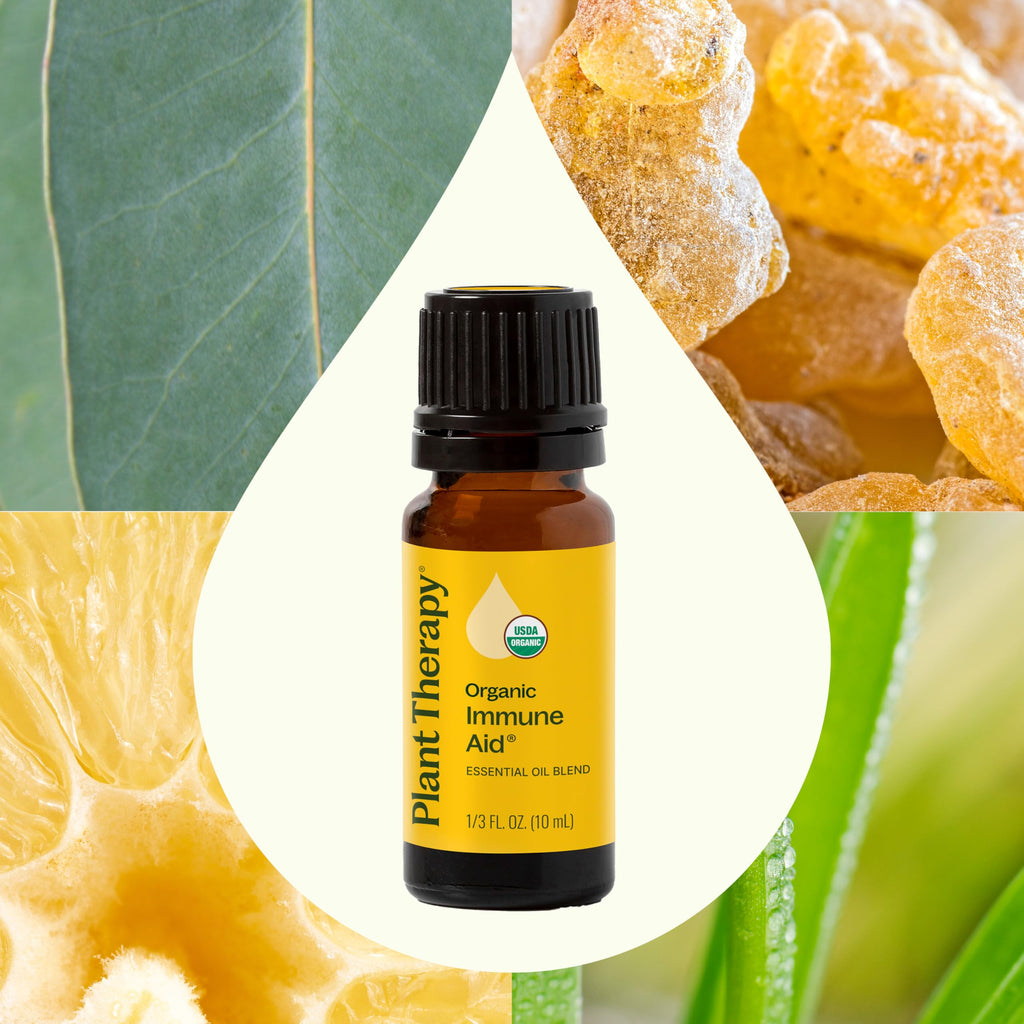 Plant Therapy Organic Immune Aid Essential Oil Blend 10 mL – 100% Pure & Undiluted