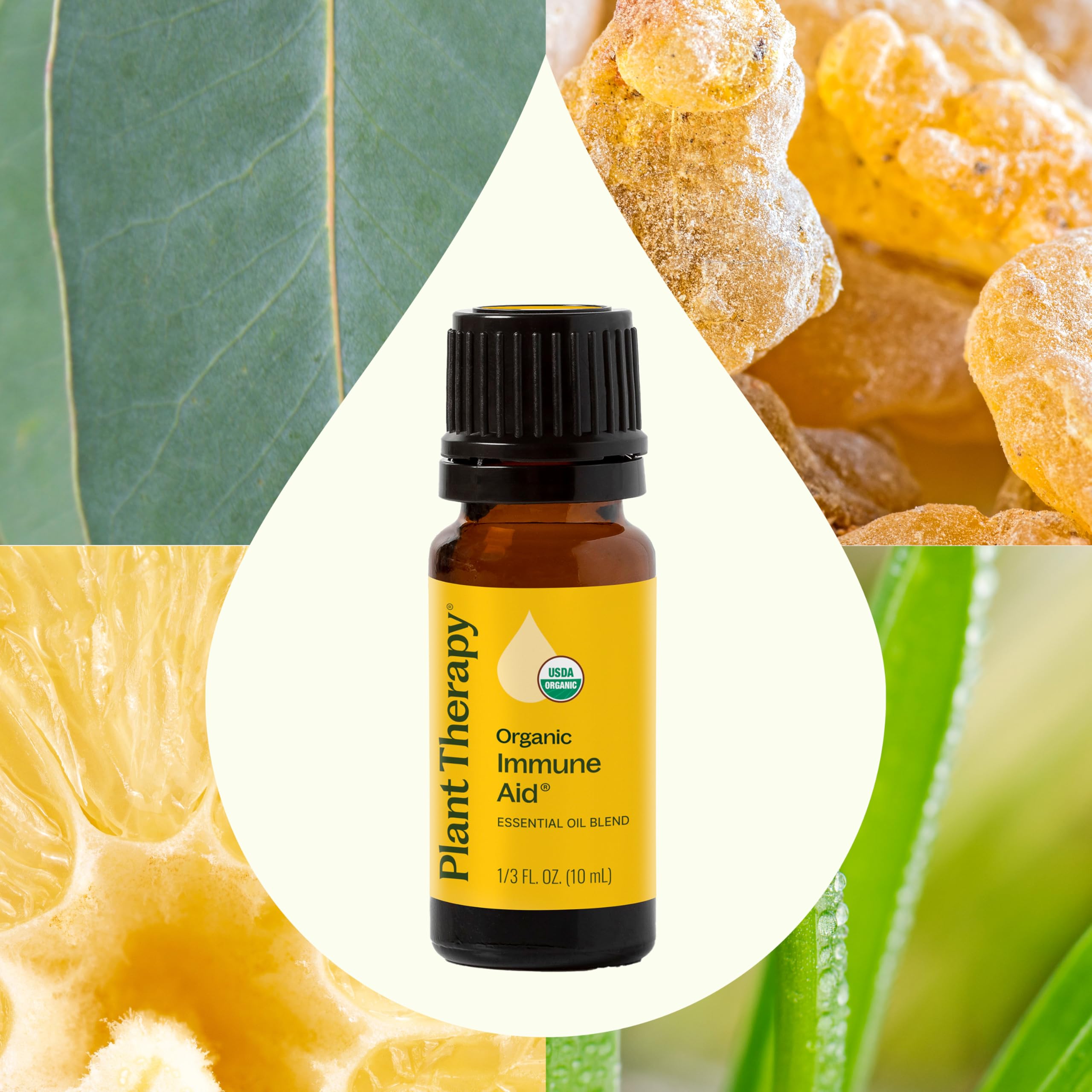 Plant Therapy Organic Immune Aid Essential Oil Blend 10 mL – 100% Pure & Undiluted