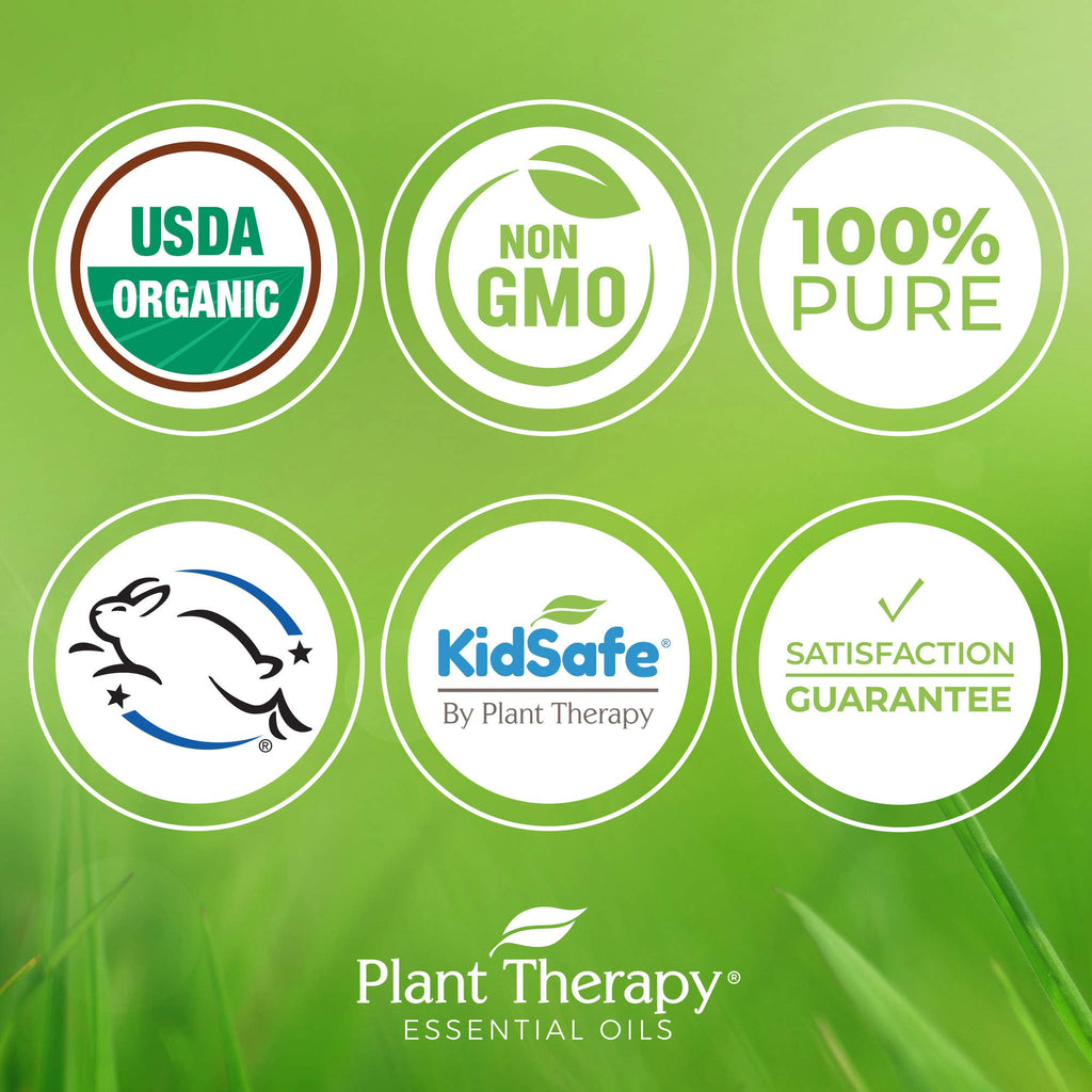 Plant Therapy KidSafe Destroyer Essential Oil Blend 10 mL | 100% Pure