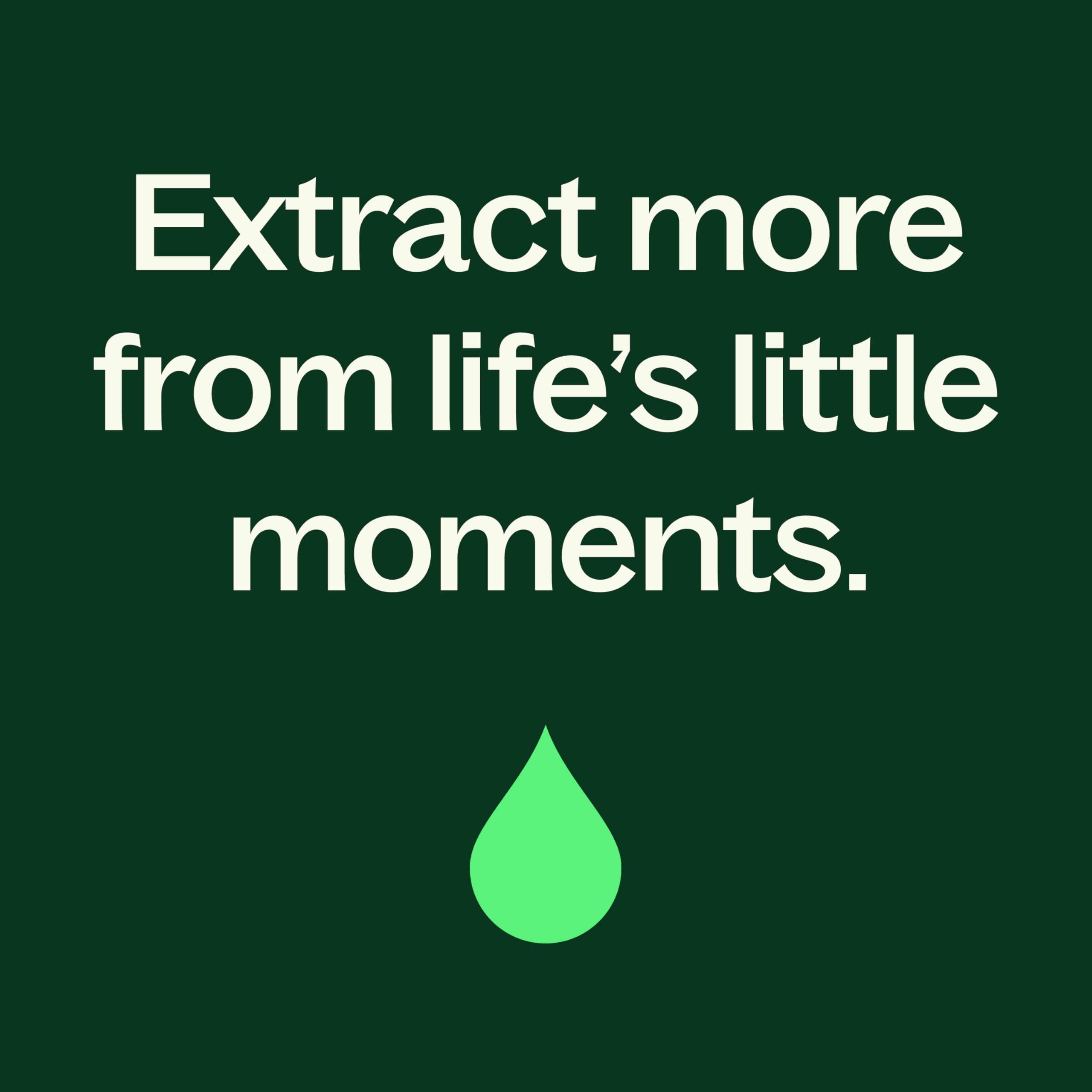 Plant Therapy Lemon Myrtle Essential Oil 10 mL (1/3 oz) – 100% Pure, Undiluted, Therapeutic Grade