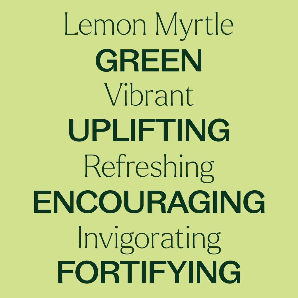 Plant Therapy Lemon Myrtle Essential Oil 10 mL (1/3 oz) – 100% Pure, Undiluted, Therapeutic Grade