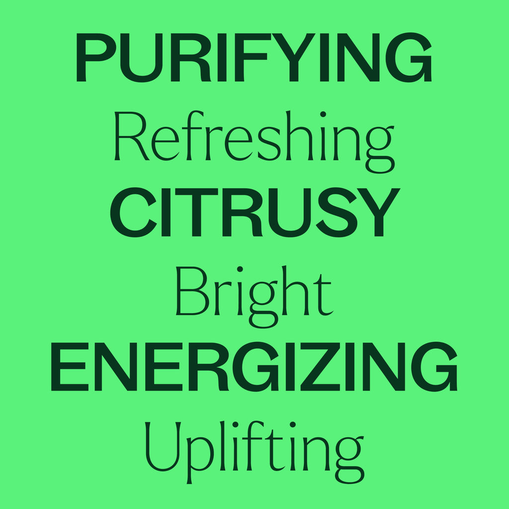 Plant Therapy Lime Steam Distilled Essential Oil 10 mL – 100% Pure, Therapeutic Grade