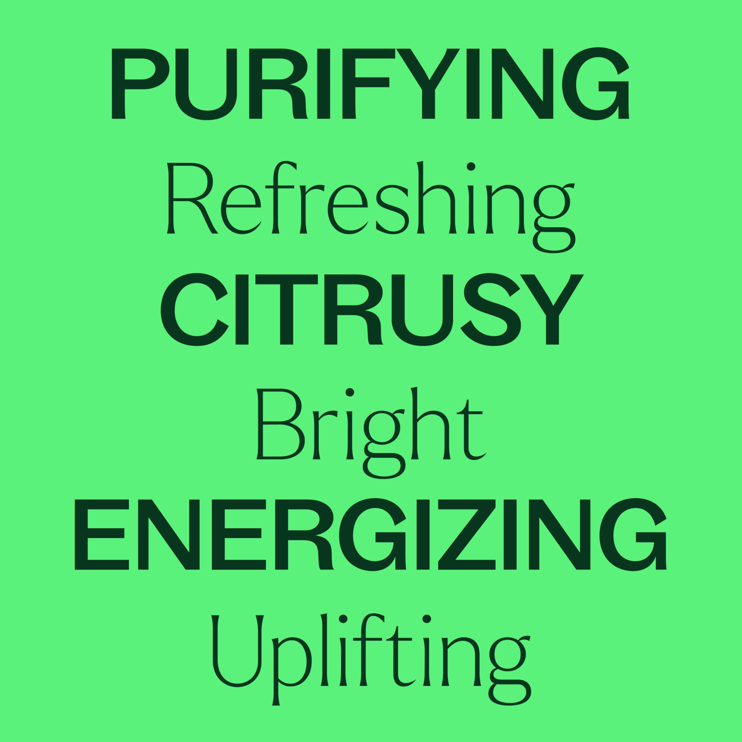 Plant Therapy Lime Steam Distilled Essential Oil 10 mL – 100% Pure, Therapeutic Grade