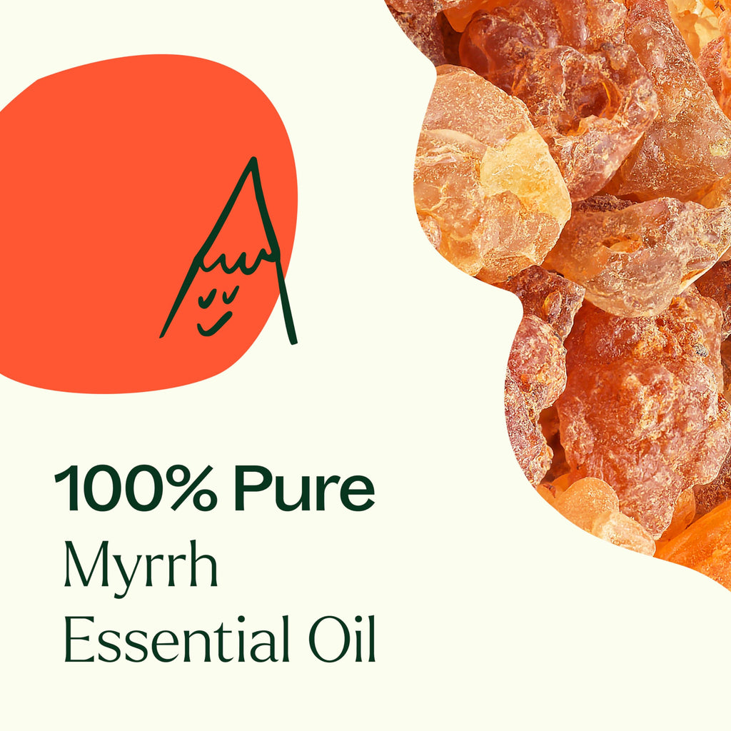 Plant Therapy Myrrh Essential Oil 5 mL – 100% Pure, Therapeutic Grade