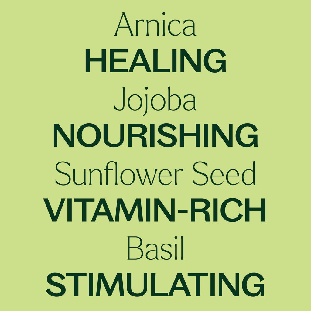 Plant Therapy Nerve Body Oil with Arnica 4 oz – Supports Discomfort & Tenderness