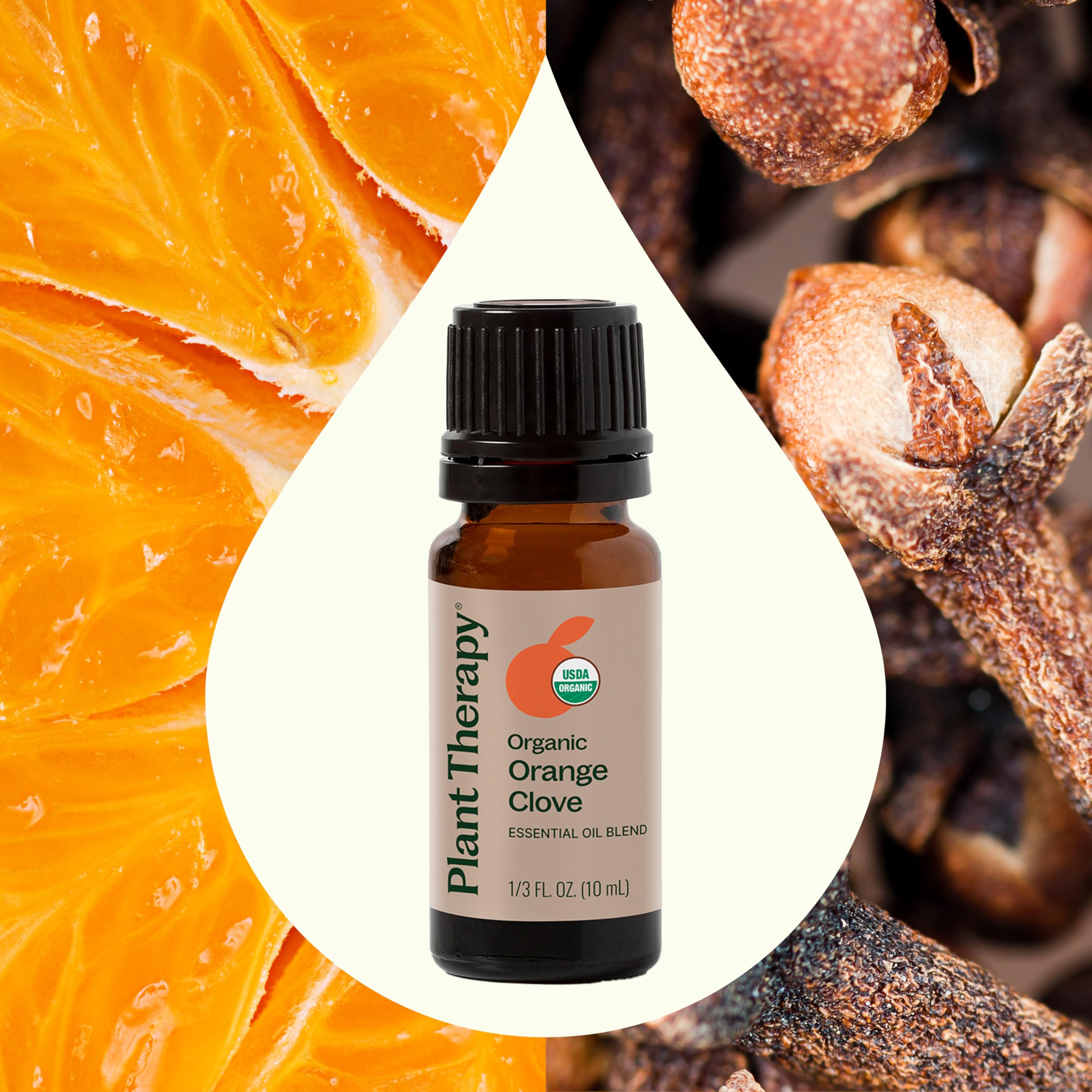 Plant Therapy Organic Orange Clove Oil Blend 10 mL – Energizing Citrus Spice