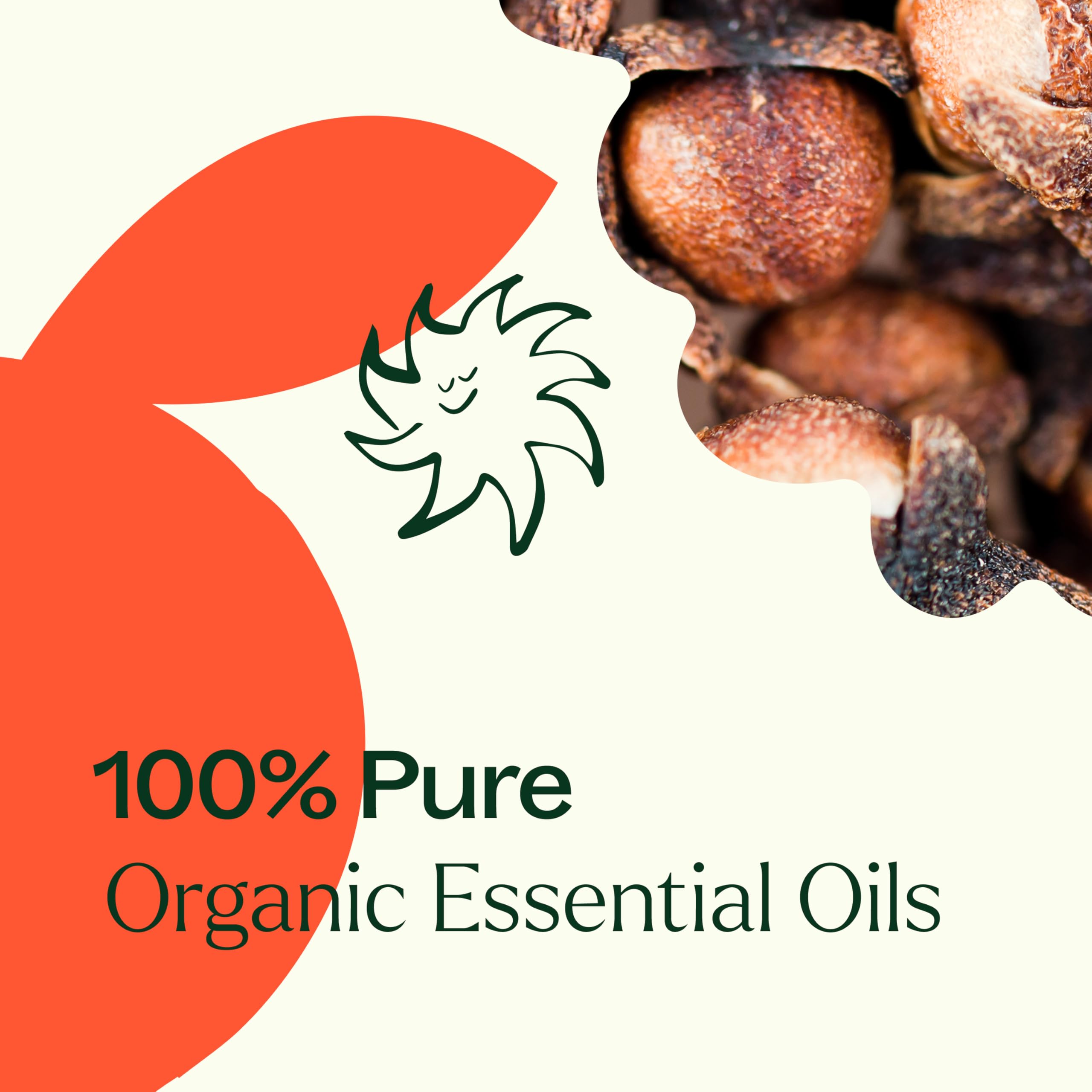 Plant Therapy Organic Orange Clove Oil Blend 10 mL – Energizing Citrus Spice