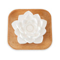 Plant Therapy Passive Lotus Flower Diffuser – No Water or Electricity