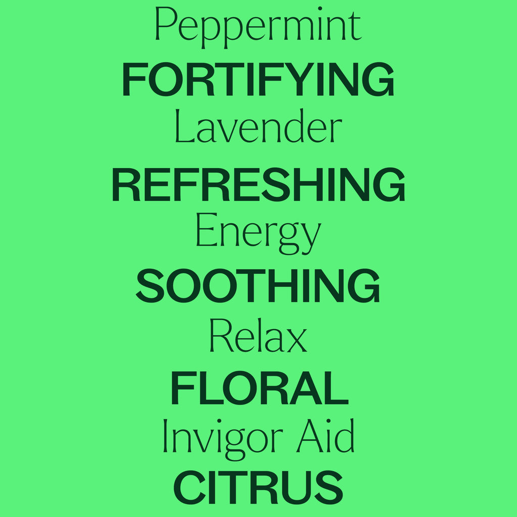 Plant Therapy 7 & 7 Essential Oils Set – 7 Singles + 7 Synergy Blends, 10 mL