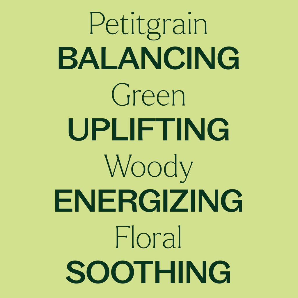 Plant Therapy Petitgrain Essential Oil 10 mL – 100% Pure, Undiluted, Therapeutic Grade