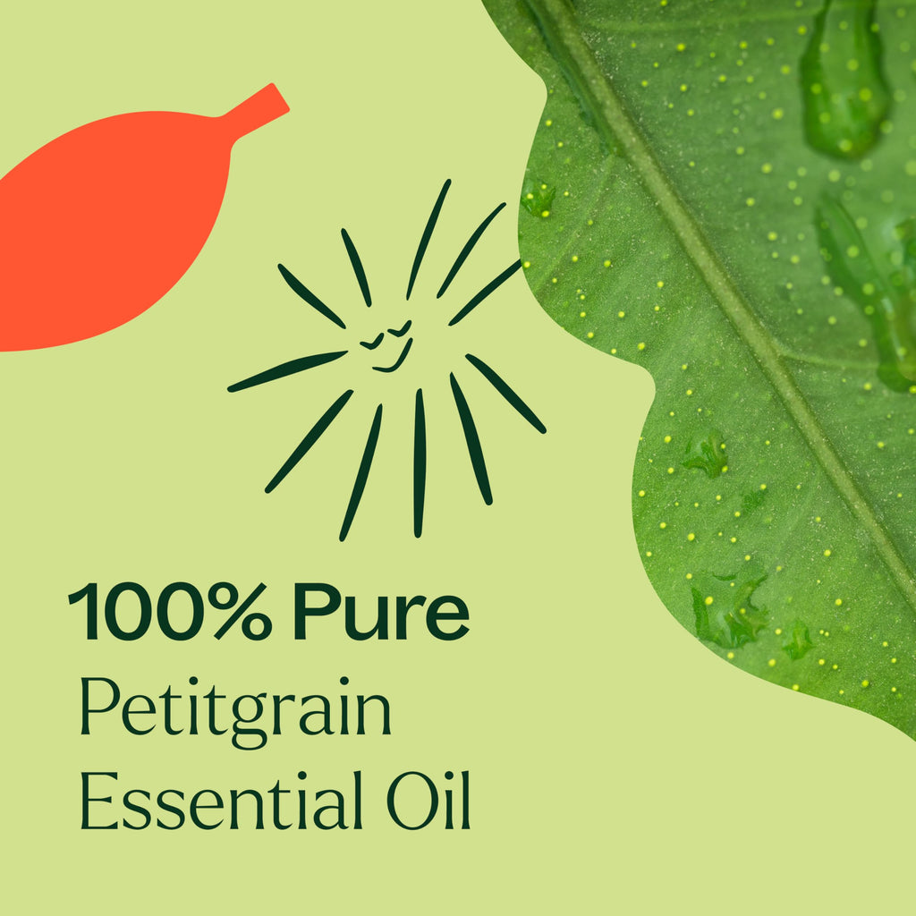 Plant Therapy Petitgrain Essential Oil 10 mL – 100% Pure, Undiluted, Therapeutic Grade