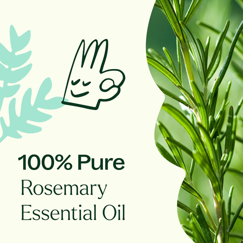 Plant Therapy Rosemary Essential Oil for Hair Growth – 100% Pure, Undiluted, Therapeutic Grade 30 mL (1 oz)
