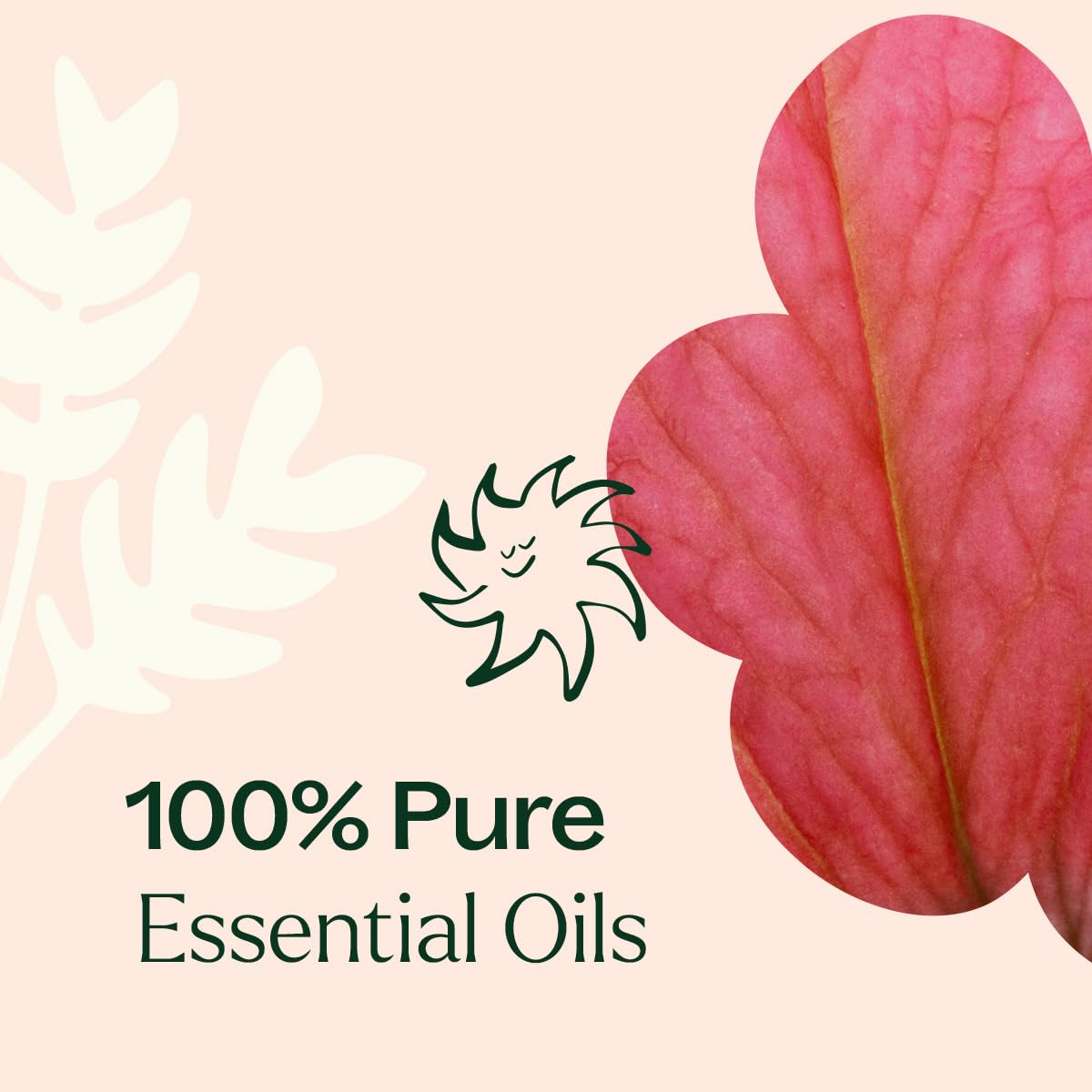 Plant Therapy Soft Skin Essential Oil Blend 10 mL — 100% Pure, Therapeutic Grade