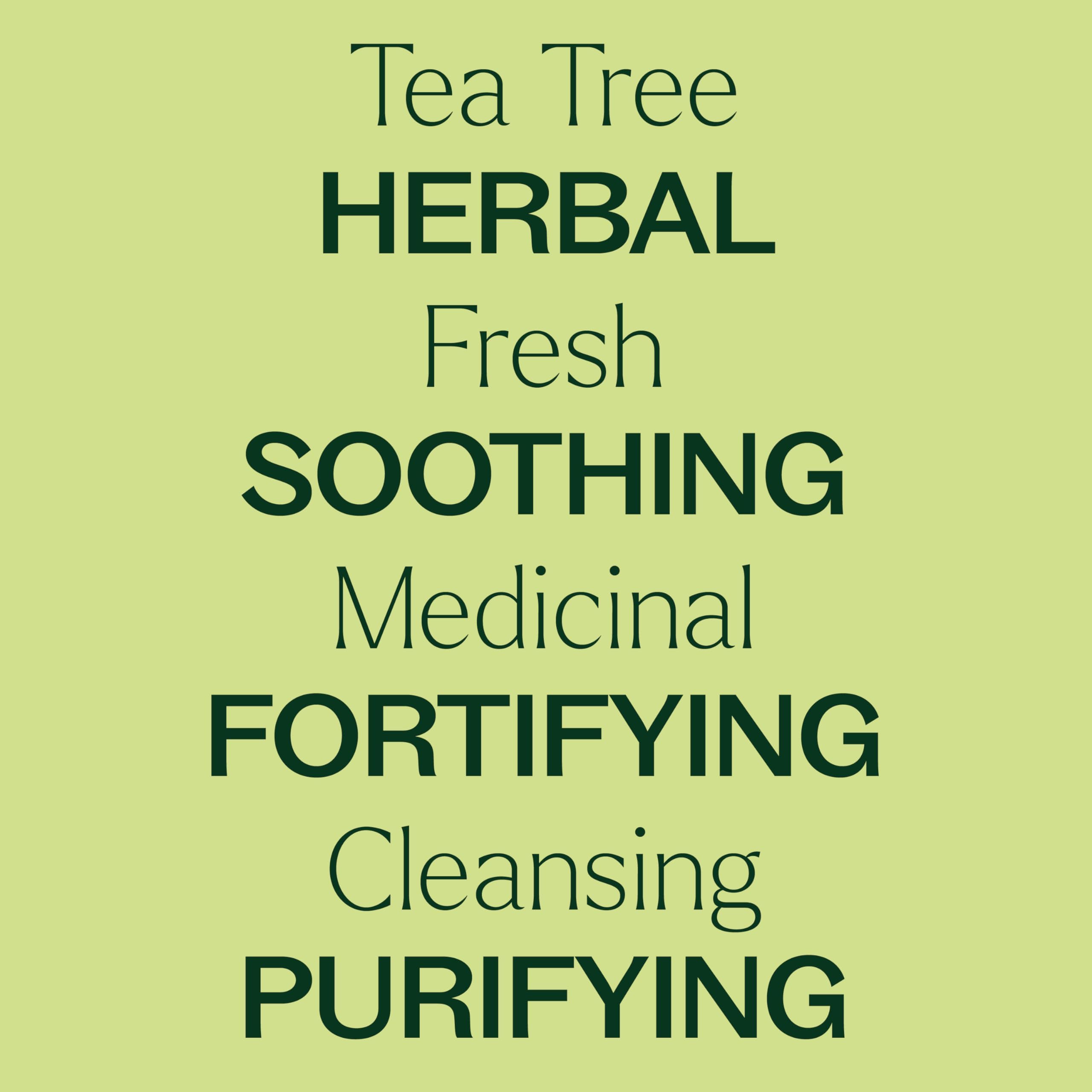 Plant Therapy Tea Tree Essential Oil 100% Pure – Pre-Diluted Roll-On (10 mL) Pack of 2