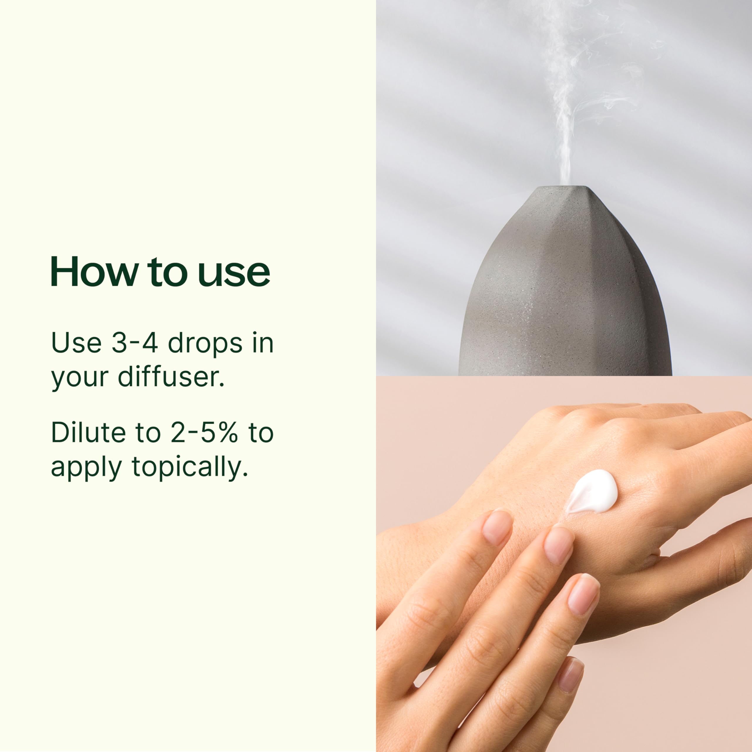 Tea Tree Essential Oil by Plant Therapy – 100% Pure, 100 mL (3.3 oz)