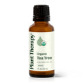 Plant Therapy Tea Tree Oil – 100% Pure, USDA Certified Organic Melaleuca (30 mL)