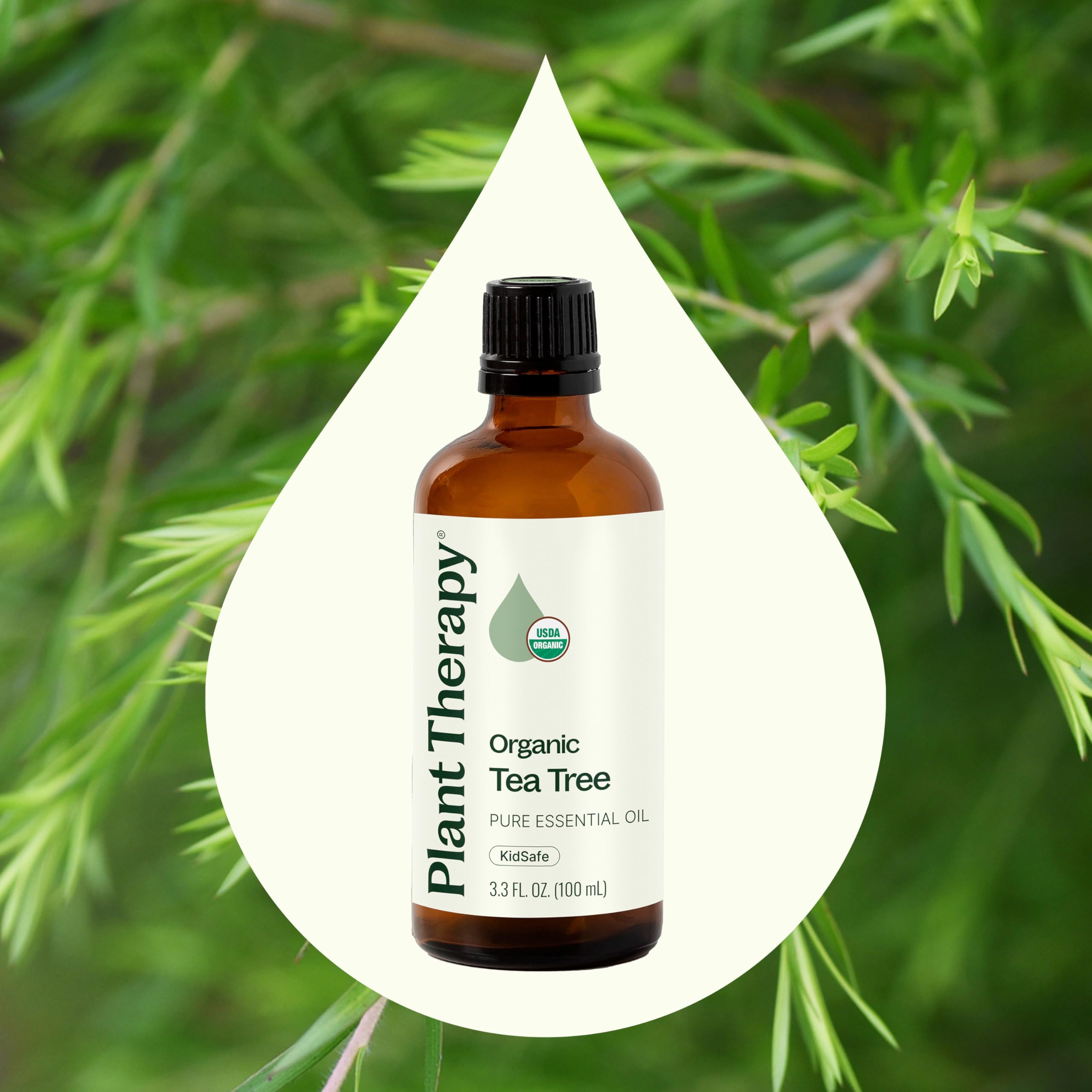 Plant Therapy Tea Tree Oil – 100 mL (3.3 oz) | 100% Pure, USDA Organic, Undiluted, Therapeutic Grade